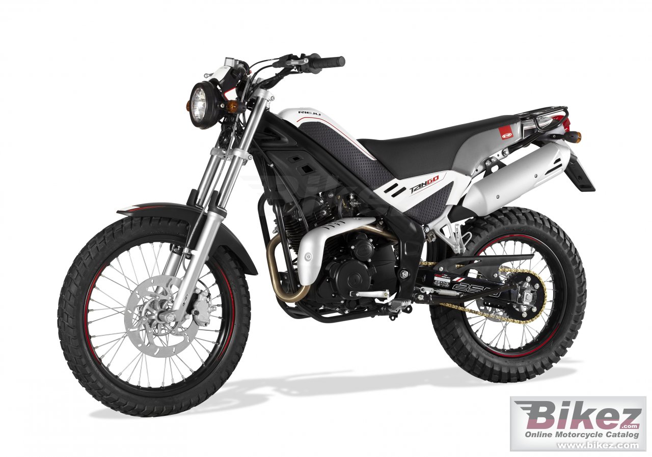 Big Rieju tango 250 picture and wallpaper from Bikez.com